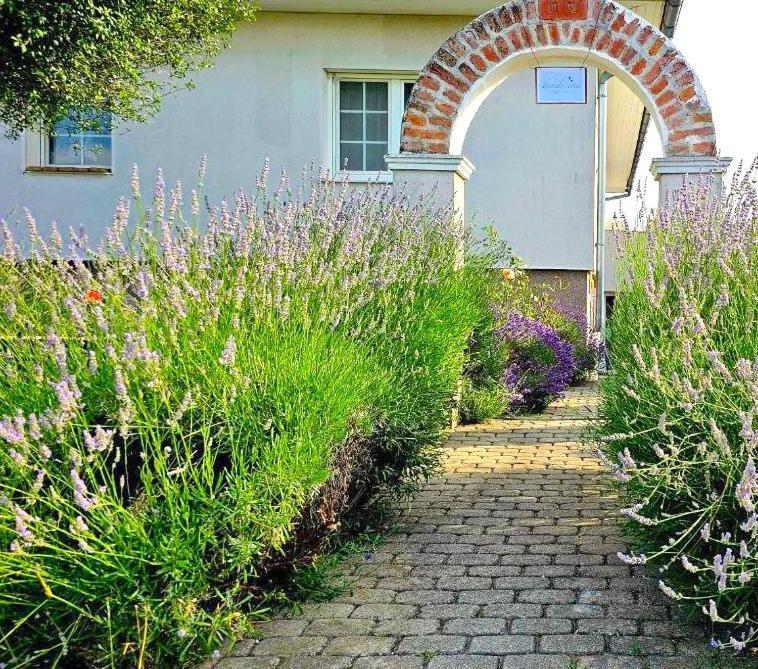 Dreamly Suites Oslip Εξωτερικό φωτογραφία