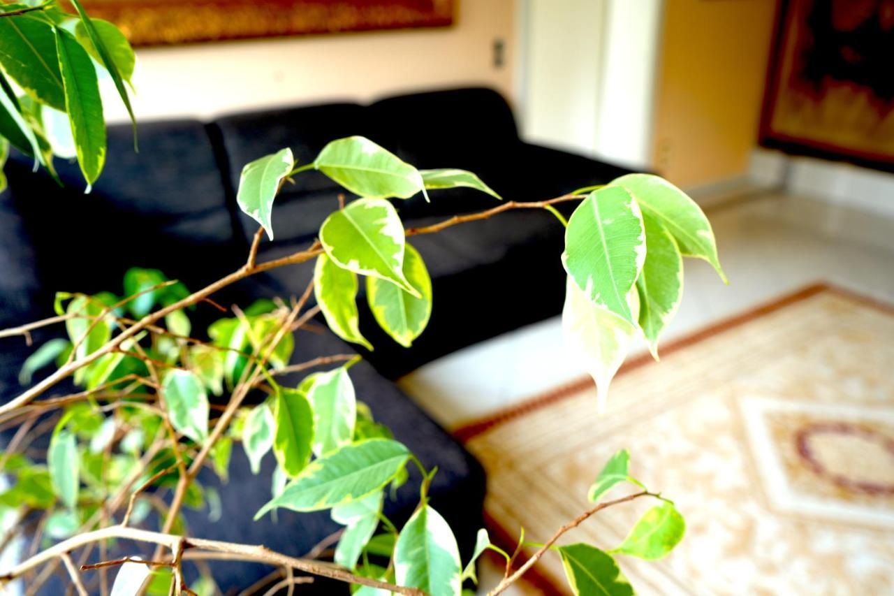 Dreamly Suites Oslip Εξωτερικό φωτογραφία
