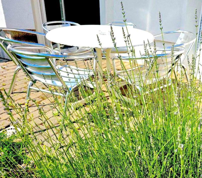 Dreamly Suites Oslip Εξωτερικό φωτογραφία